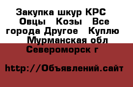 Закупка шкур КРС , Овцы , Козы - Все города Другое » Куплю   . Мурманская обл.,Североморск г.